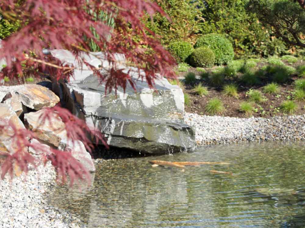 Japanischer Garten mit Koiteich bei Auto-Weller